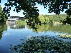 NetObjects Fusion 12.0